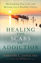 Cover image for Healing the Scars of Addiction, isbn: 9780800727734
