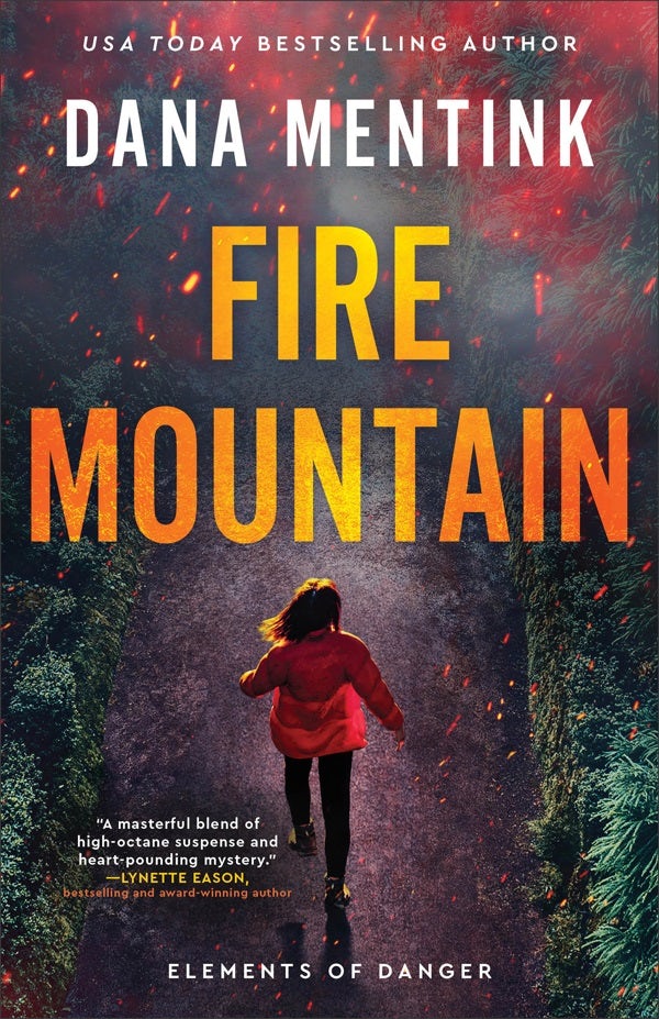 Cover image for Fire Mountain, isbn: 9780800746520
