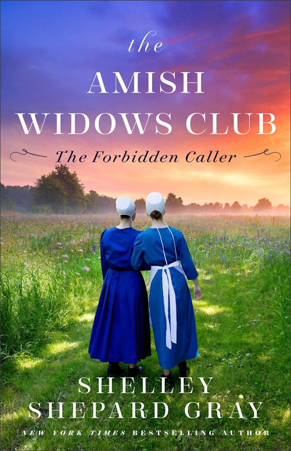 Cover image for The Forbidden Caller, isbn: 9780800747275