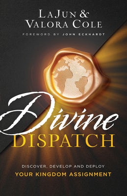 Cover image for Divine Dispatch, isbn: 9780800762865