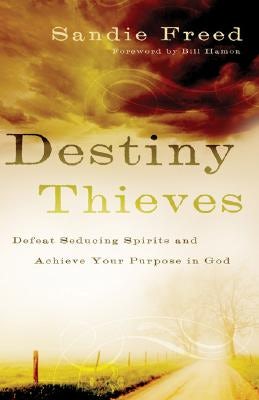 Cover image for Destiny Thieves, isbn: 9780800794200