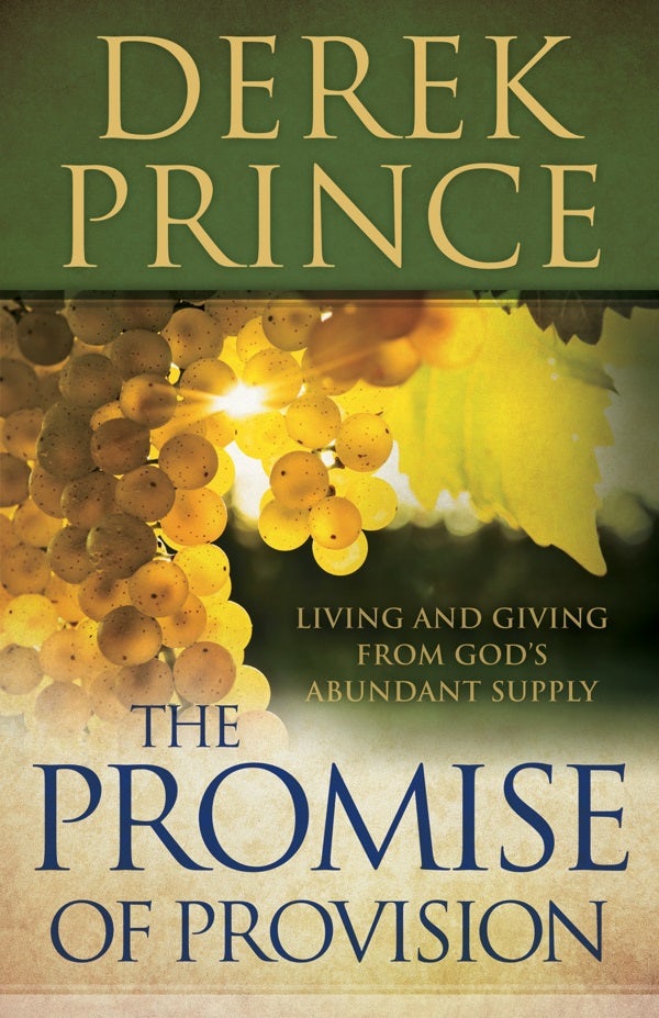 Cover image for Promise of Provision, isbn: 9780800795221