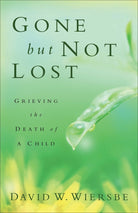 Cover image for Gone But Not Lost, isbn: 9780801013812