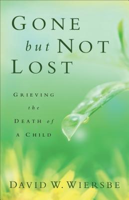 Cover image for Gone But Not Lost, isbn: 9780801013812