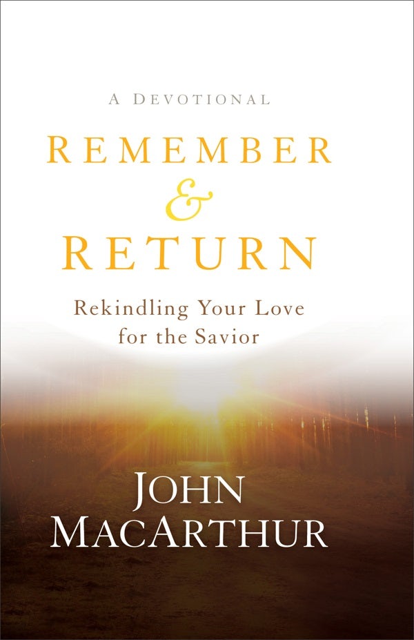 Cover image for Remember and Return, isbn: 9780801019319