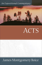 Cover image for Acts, isbn: 9780801066337