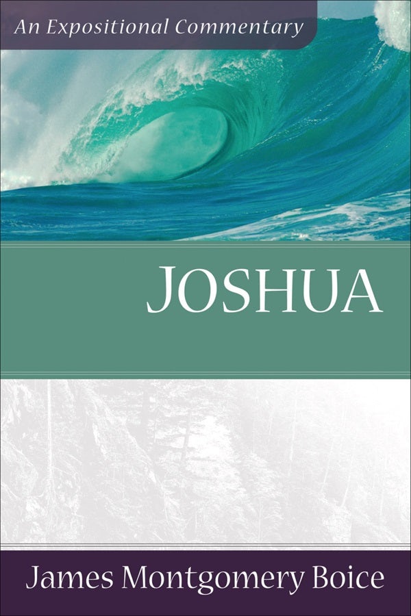 Cover image for Joshua, isbn: 9780801066467