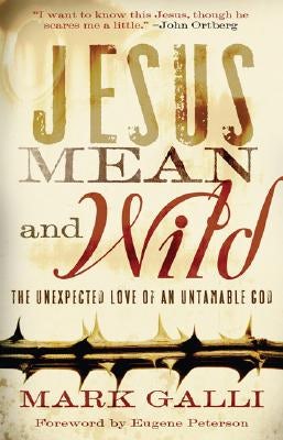 Cover image for Jesus Mean and Wild, isbn: 9780801071577