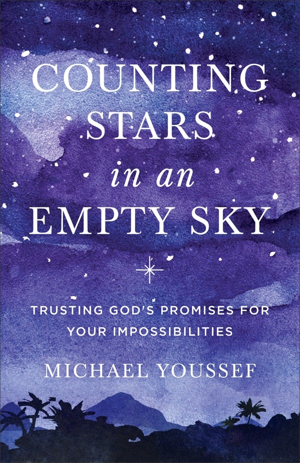 Cover image for Counting Stars in an Empty Sky, isbn: 9780801077876