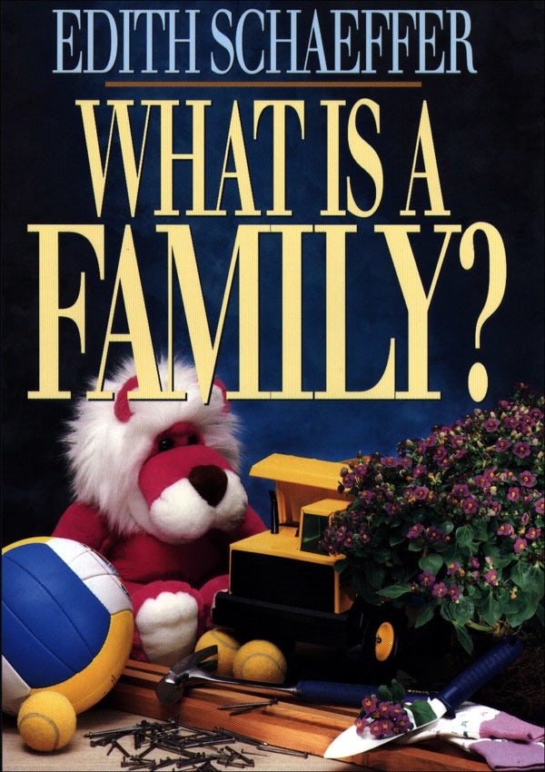 Cover image for What Is a Family?, isbn: 9780801083655