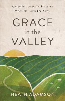 Cover image for Grace in the Valley, isbn: 9780801093715