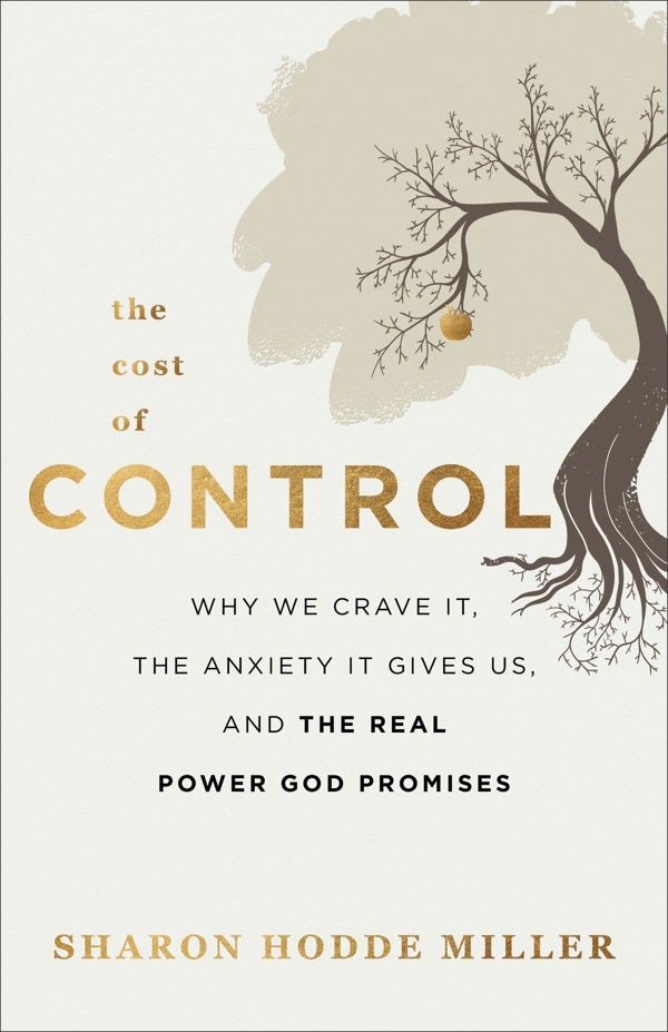 Cover image for The Cost of Control, isbn: 9780801094934