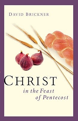 Cover image for Christ in the Feast of Pentecost, isbn: 9780802414021