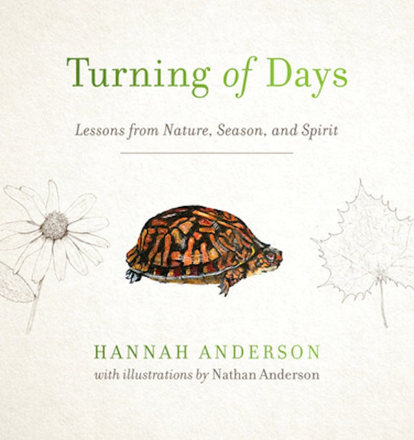 Cover image for Turning of Days, isbn: 9780802418562
