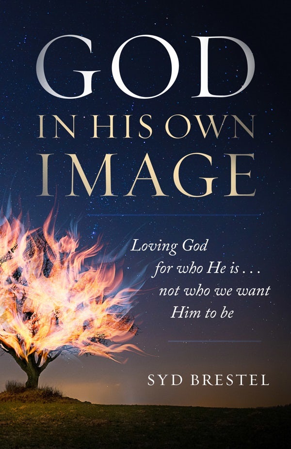 Cover image for God in His Own Image, isbn: 9780802419033