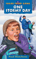Cover image for One Stormy Day, isbn: 9780802470133