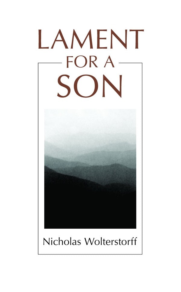 Cover image for Lament for a Son, isbn: 9780802802941