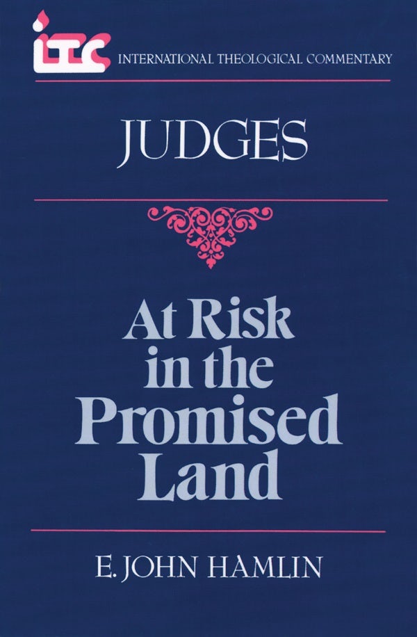 Cover image for At Risk in the Promised Land, isbn: 9780802804327
