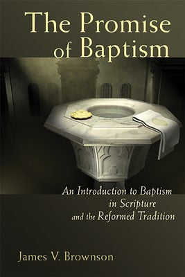 Cover image for The Promise of Baptism, isbn: 9780802833075