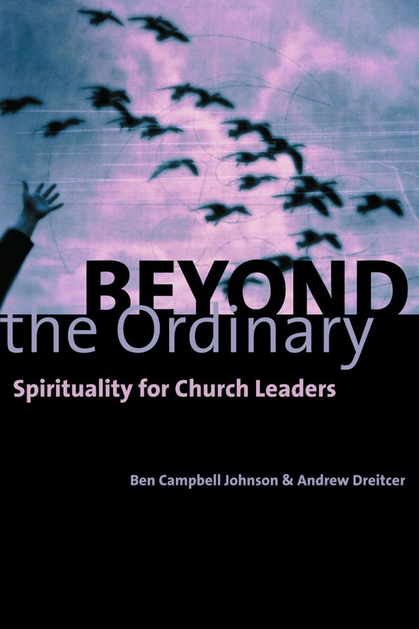 Cover image for Beyond the Ordinary, isbn: 9780802847737