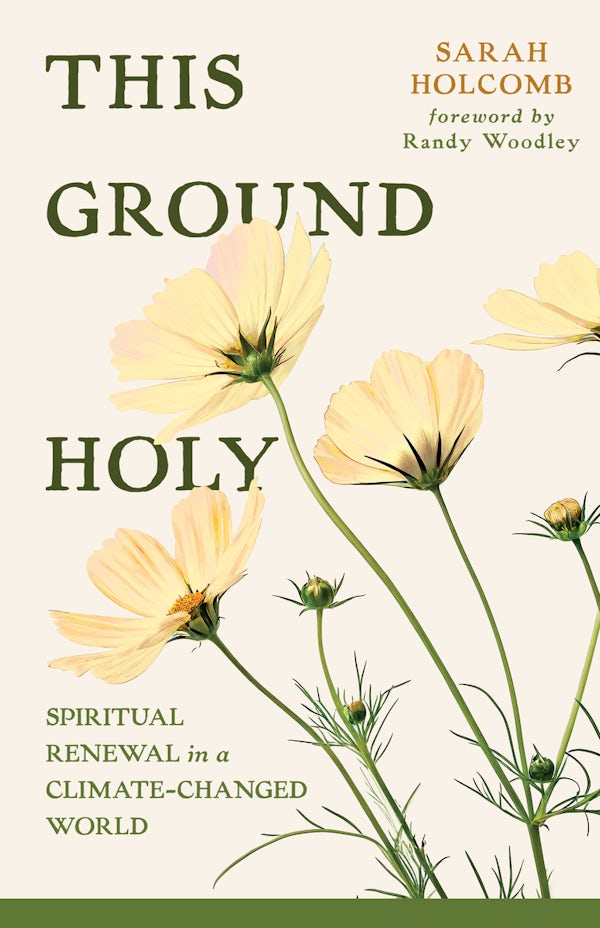 Cover image for This Ground Holy, isbn: 9780802885395