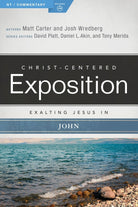 Cover image for Exalting Jesus in John, isbn: 9780805496543