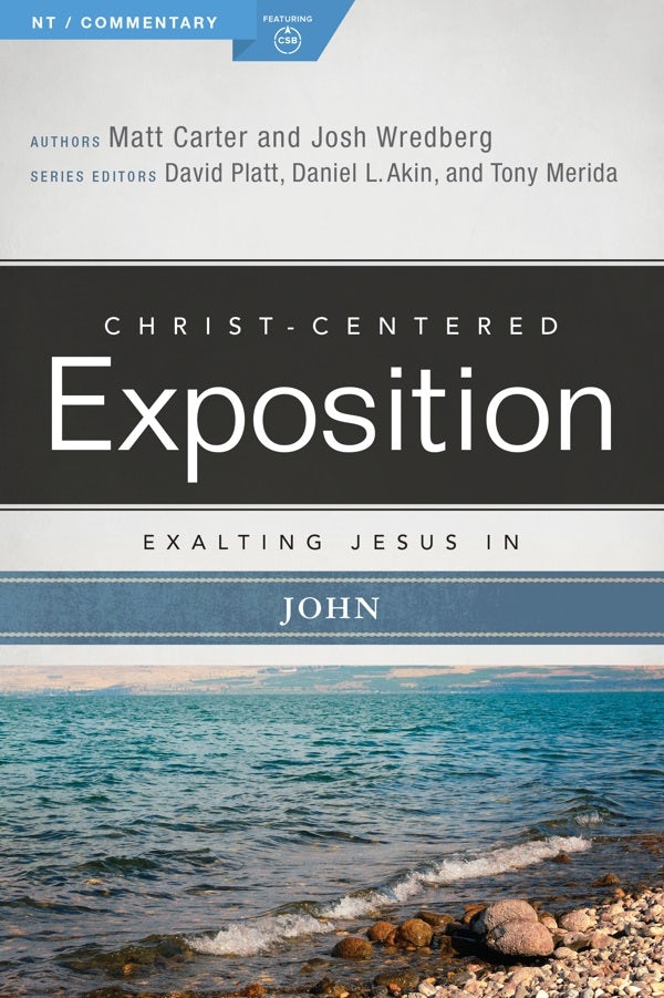 Cover image for Exalting Jesus in John, isbn: 9780805496543