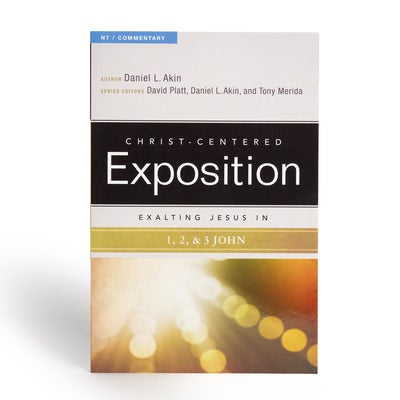 Cover image for Exalting Jesus in 1,2,3 John, isbn: 9780805496659