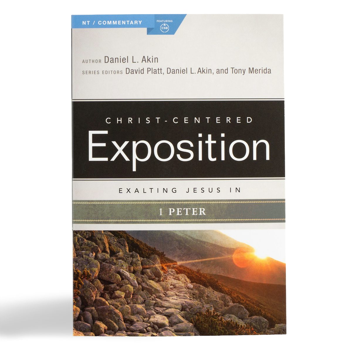 Cover image for Exalting Jesus in 1 Peter, isbn: 9780805497007