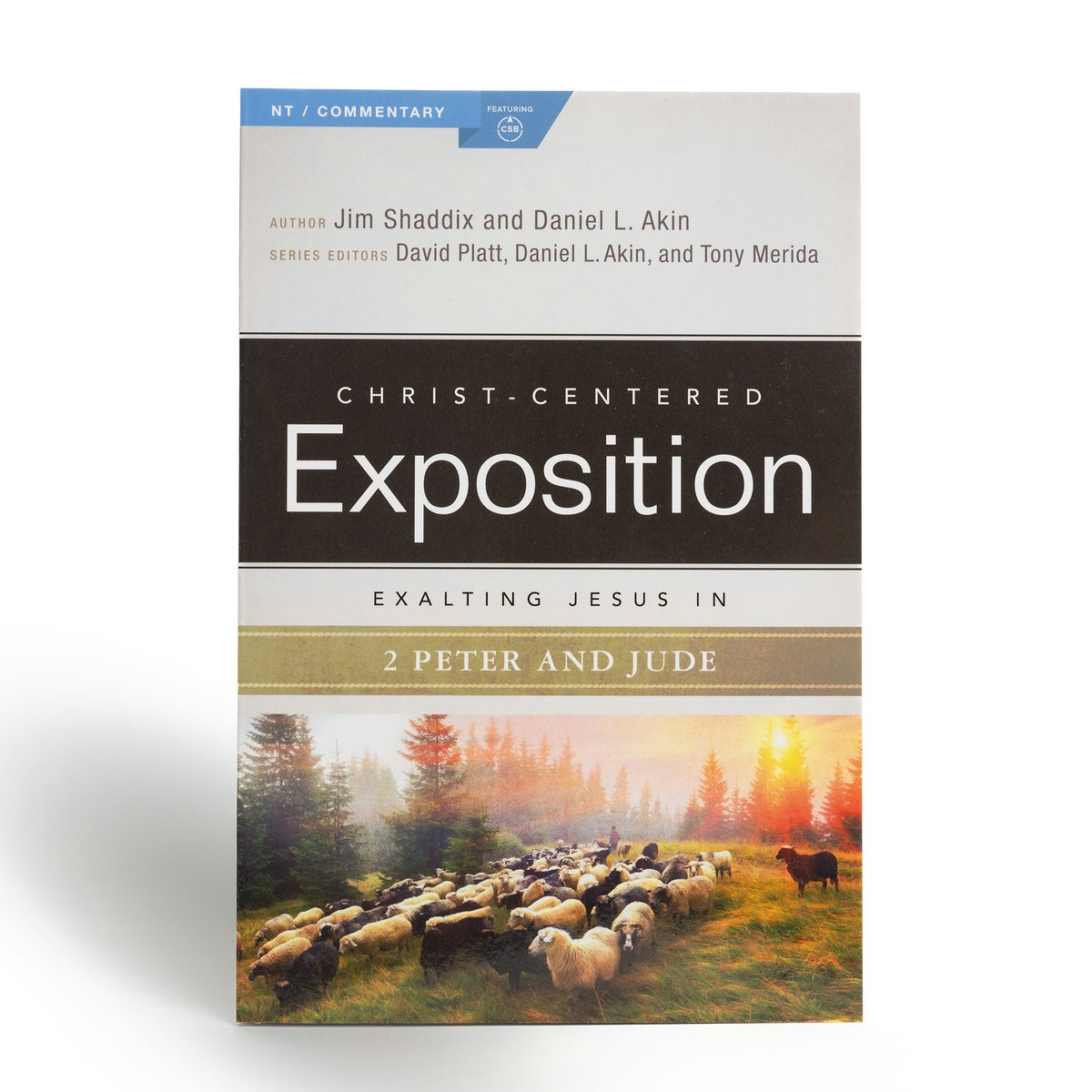Cover image for Exalting Jesus in 2 Peter, Jude, isbn: 9780805497618