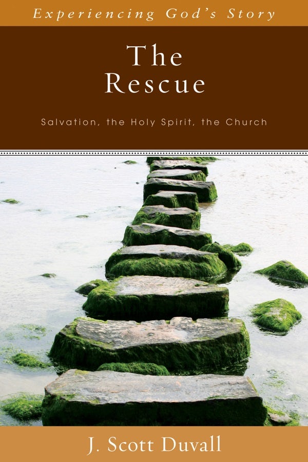 Cover image for The Rescue, isbn: 9780825425974