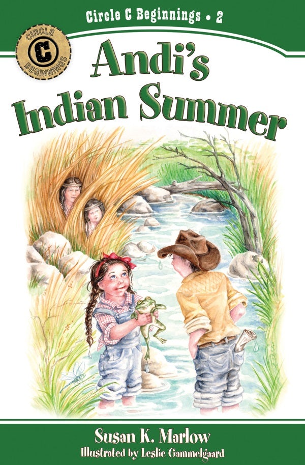 Cover image for Andi's Indian Summer, isbn: 9780825441820