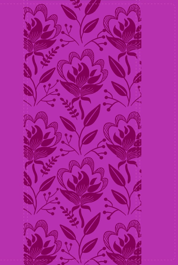 Cover image for A Woman After God's Own Heart Bible, isbn: 9780825447181
