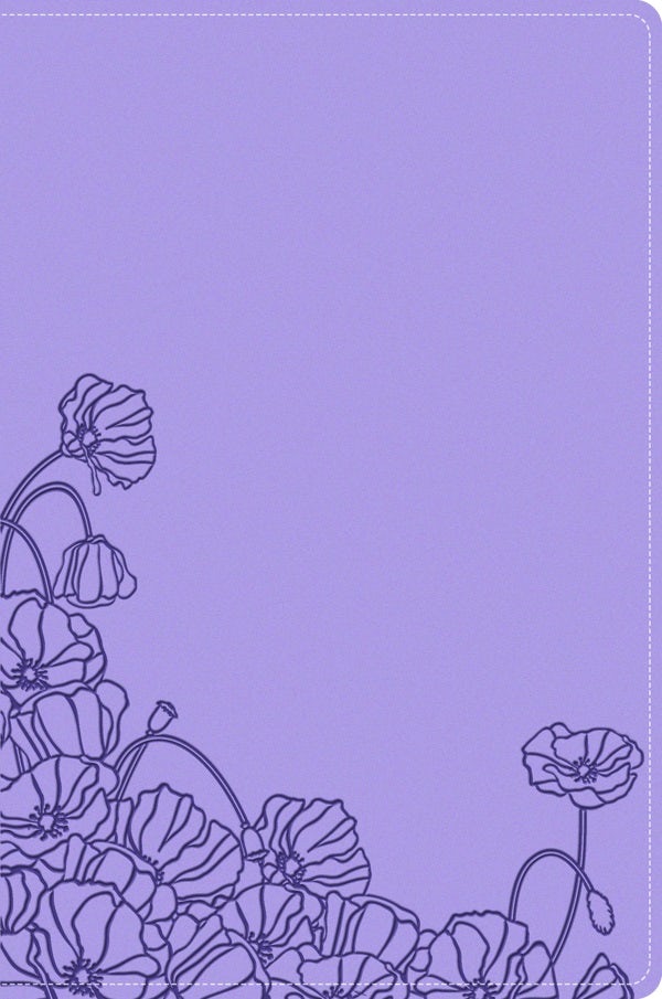 Cover image for A Woman After God's Own Heart Bible, isbn: 9780825447815