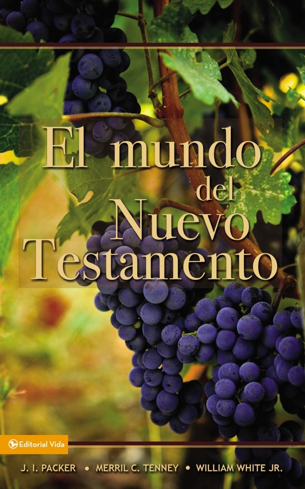 Cover image for El Mundo del Nuevo Testamento, isbn: 9780829714180
