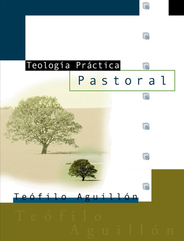 Cover image for Teologia Practica Pastoral, isbn: 9780829728941