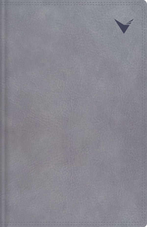 Cover image for Nbla, Biblia de Estudio, Interior a DOS Colores, Leathersoft, Gris, Comfort Print, isbn: 9780829730708