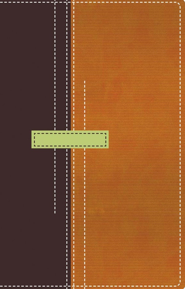 Cover image for Thompson Chain Reference Bible-RV 1960-Personal Size, isbn: 9780829750331