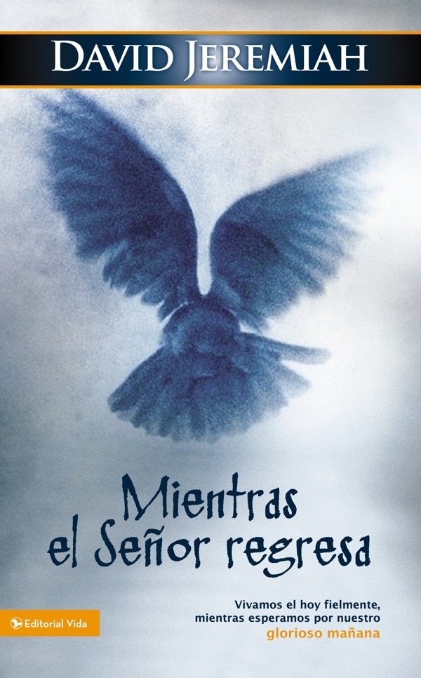 Cover image for Mientras El Señor Regresa, isbn: 9780829755176