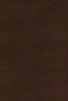 Cover image for Rvr, Biblia de Referencia Thompson, Leathersoft, Café, Palabras de Jesús En Rojo, Comfort Print, isbn: 9780829771169