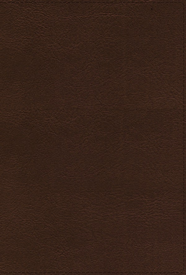 Cover image for Rvr, Biblia de Referencia Thompson, Leathersoft, Café, Palabras de Jesús En Rojo, Comfort Print, isbn: 9780829771169