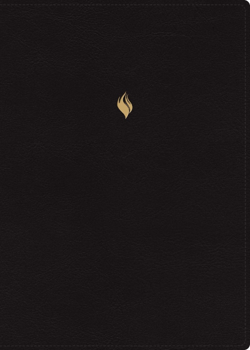 Cover image for Rvr60, Biblia de Estudio de la Vida Plena, Edición Clásica, Leathersoft, Negro, Palabras de Jesús En Rojo, Comfort Print, Con Índice Y Cierre, isbn: 9780829774023