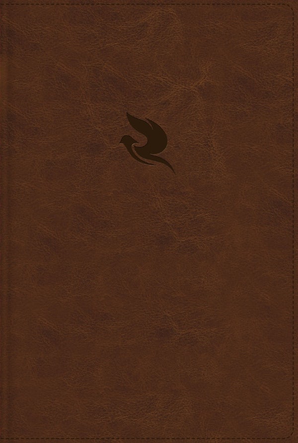 Cover image for Rvr60, Biblia Plenitud, Revisada Y Ampliada, Leathersoft, Cafï¿½, Interior a Cuatro Colores, Comfort Print, Con ï¿½ndice, isbn: 9780829774191