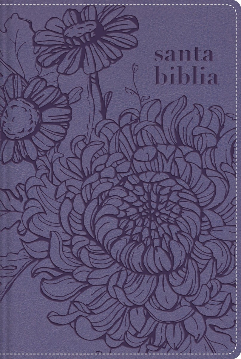 Cover image for Nbla, Santa Biblia, Edición Versificada, Tamaño Bolsillo, Leathersoft, Morado, Con Cierre, Palabras de Jesús En Rojo, Comfort Print, isbn: 9780829774351