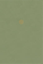 Cover image for Rvr60, Biblia de Estudio Para La Mujer, Leathersoft, Verde, Interior a Color, Comfort Print, isbn: 9780829774474