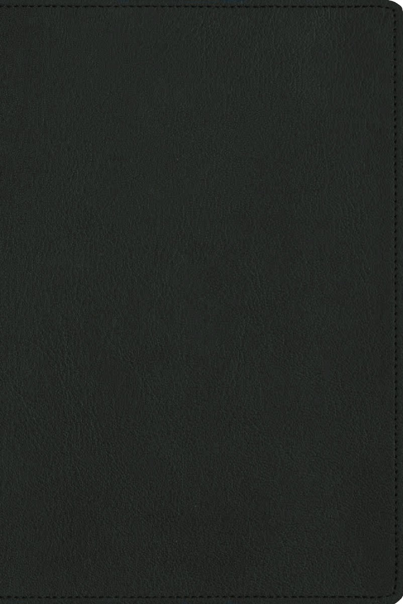 Cover image for Nbla, Biblia Para La Lectura Pública, Versificada, Letra Grande, Piel de Cabra, Verde, isbn: 9780829774740