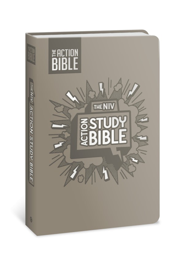 Cover image for The NIV Action Study Bible, Leathersoft, Gray, Full Color, isbn: 9780830787401