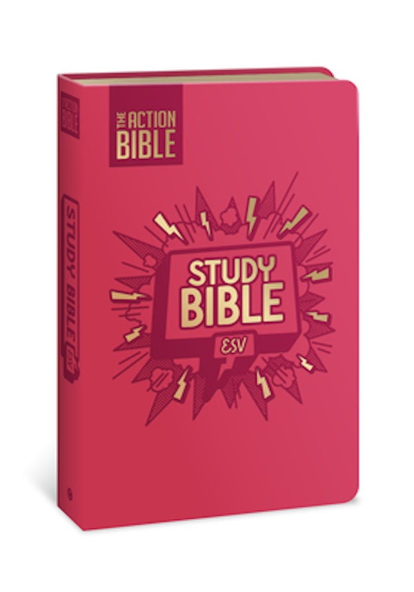 Cover image for The Action Bible Study Bible Esv, Leathersoft, Pink, Full Color, isbn: 9780830787463