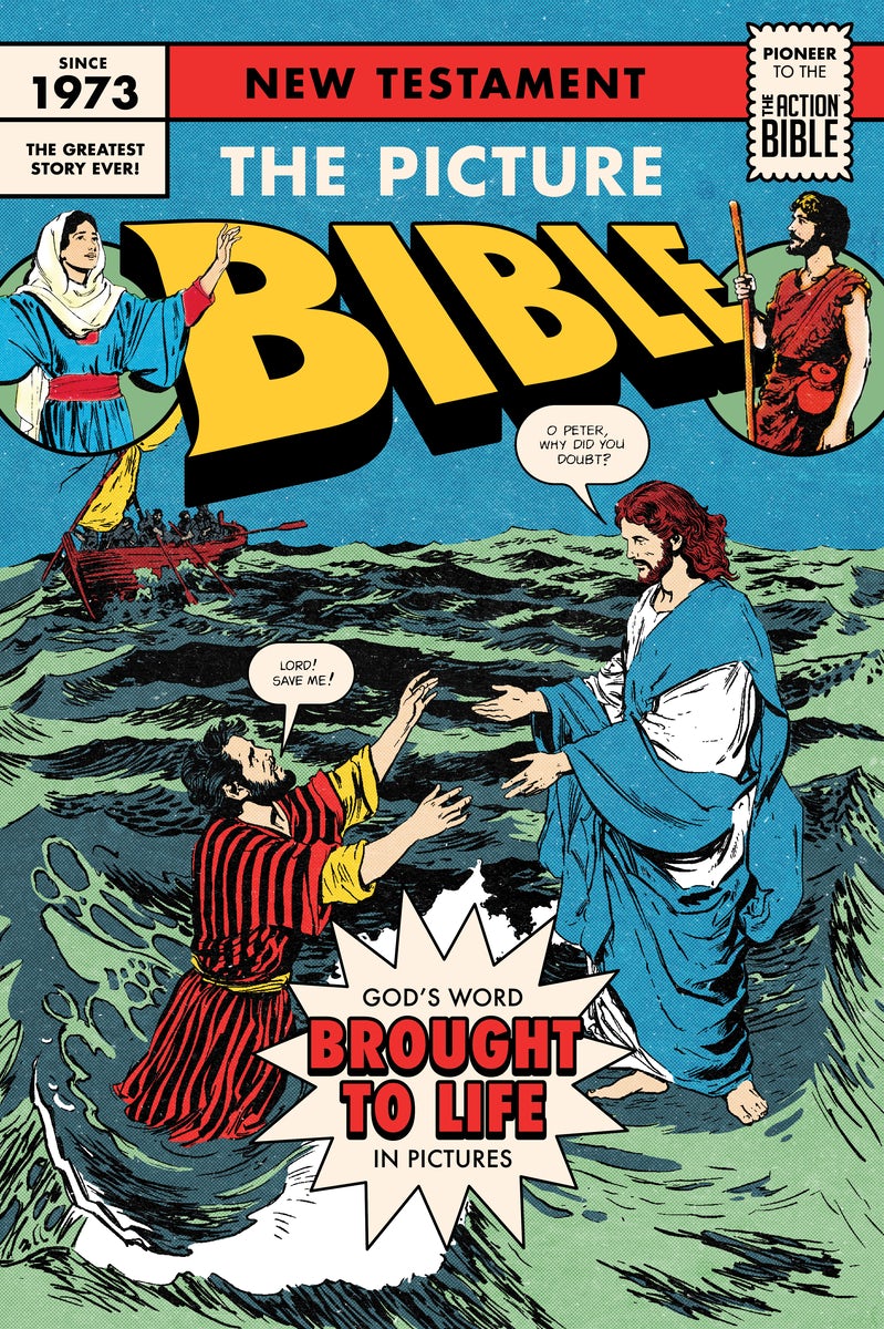 Cover image for The Picture Bible New Testament, isbn: 9780830790197