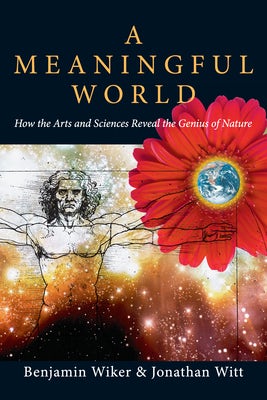 Cover image for A Meaningful World, isbn: 9780830827992